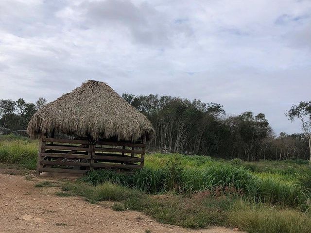place photo 22