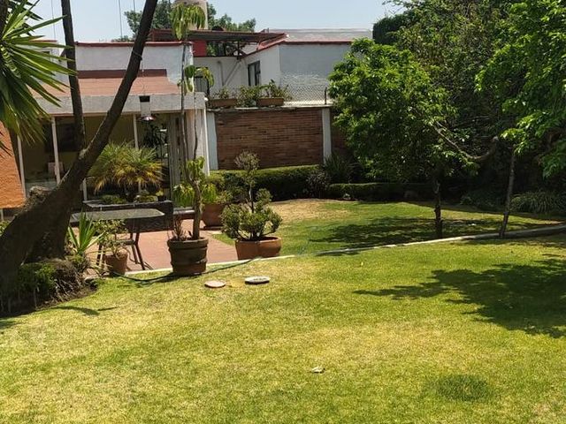 place photo 34