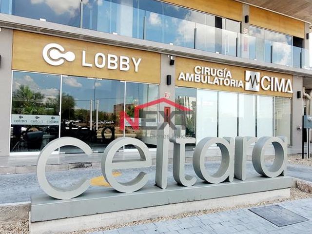 CONSULTORIO EN RENTA EN TORRE CELTARA