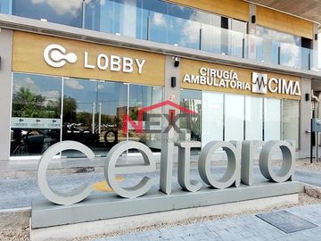CONSULTORIO EN RENTA EN TORRE CELTARA