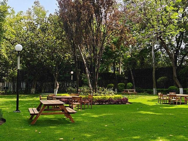 place photo 17