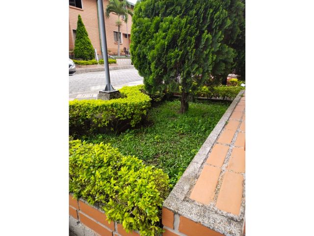place photo 30