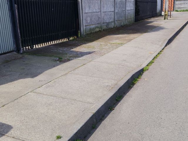 place photo 23