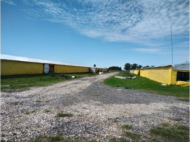 place photo 31
