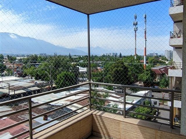 place photo 27