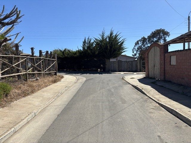 place photo 39