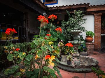 place photo 9