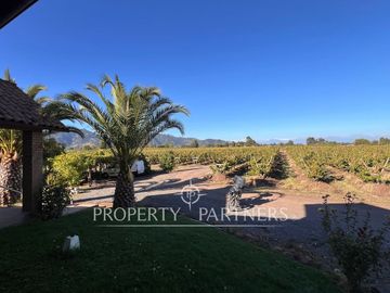 place photo 23