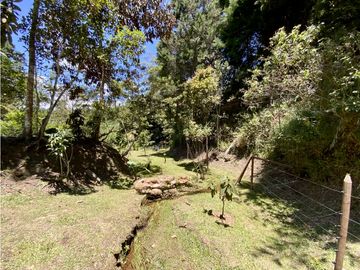 place photo 50