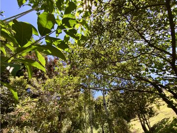 place photo 53