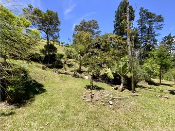 place photo 49