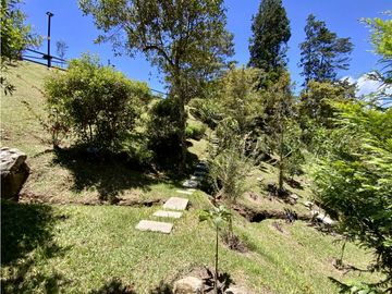 place photo 54