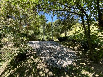 place photo 52