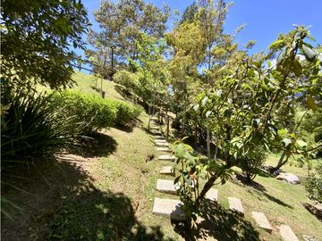 place photo 57