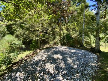 place photo 71