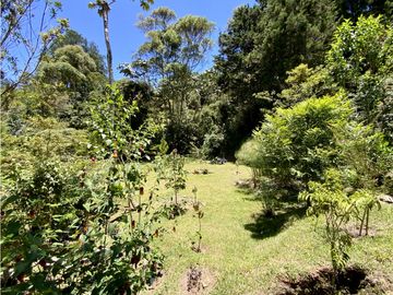 place photo 59