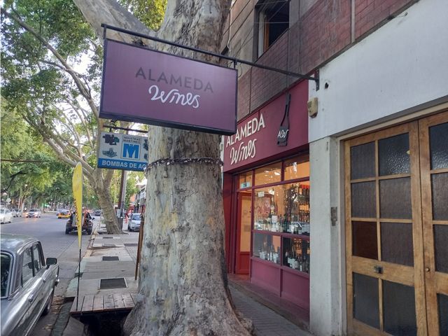 place photo 26