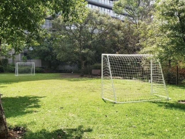 place photo 21