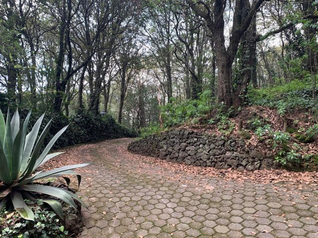 place photo 11