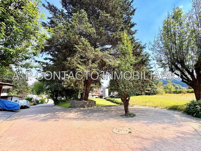place photo 40