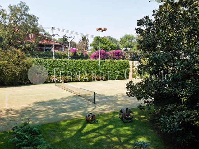 place photo 40