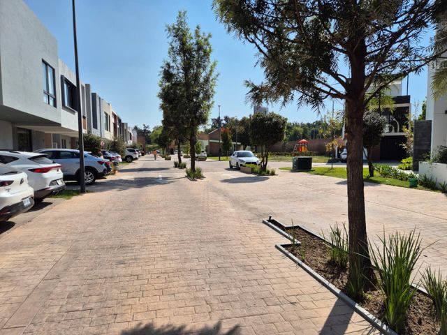 place photo 33