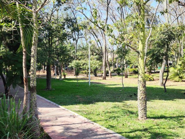 place photo 38