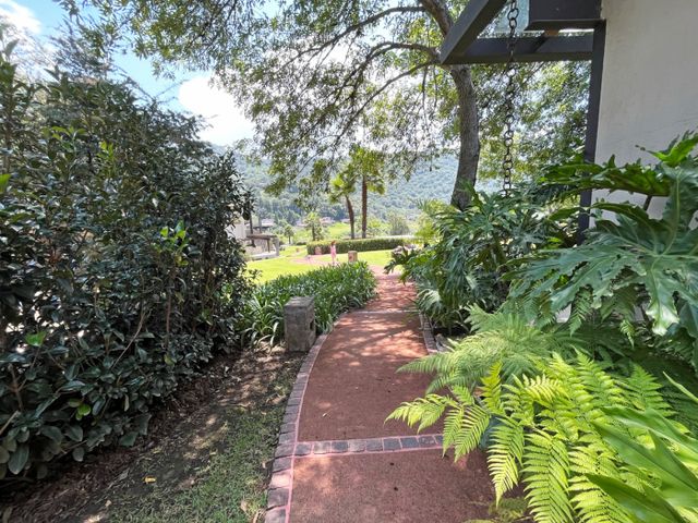 place photo 32