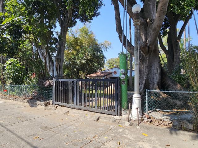 place photo 27