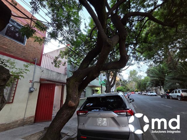 place photo 21