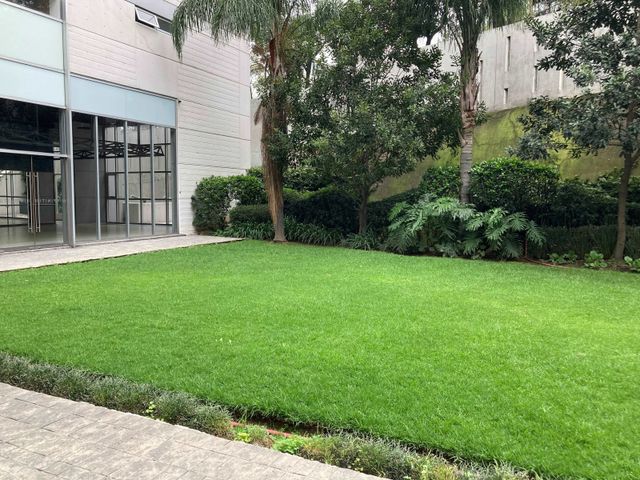place photo 40