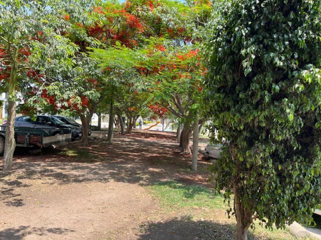place photo 16