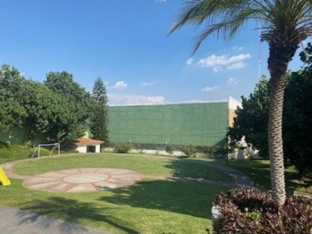 place photo 19