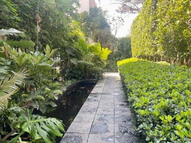 place photo 41