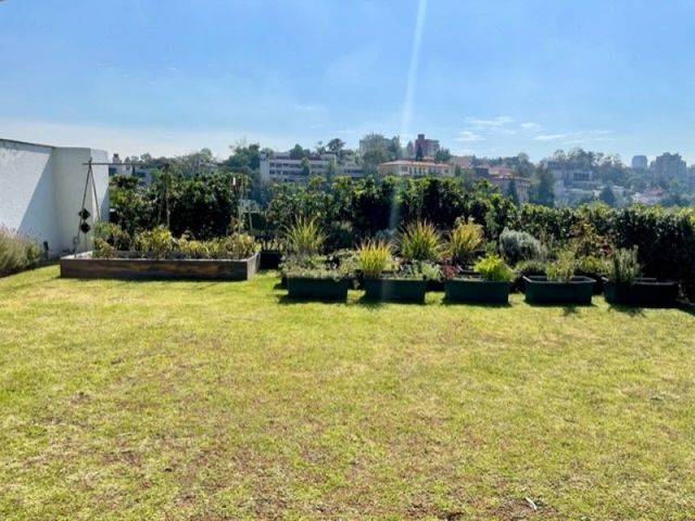 place photo 39