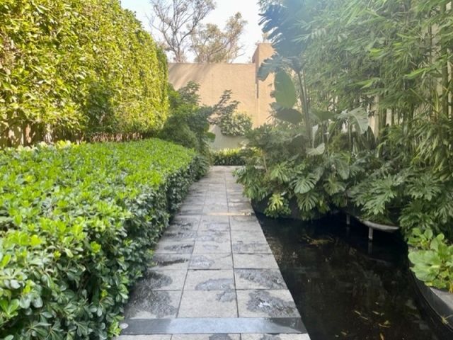 place photo 42