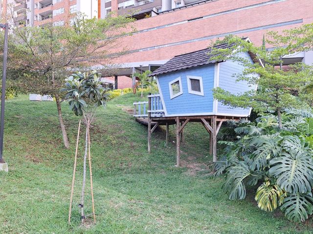 place photo 16