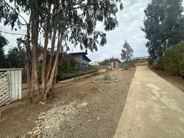 place photo 49