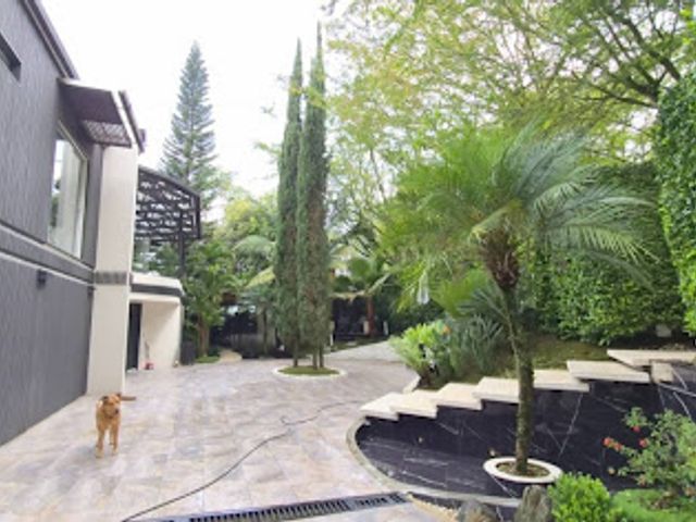 place photo 29