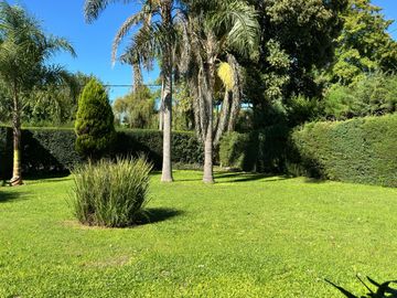 place photo 27