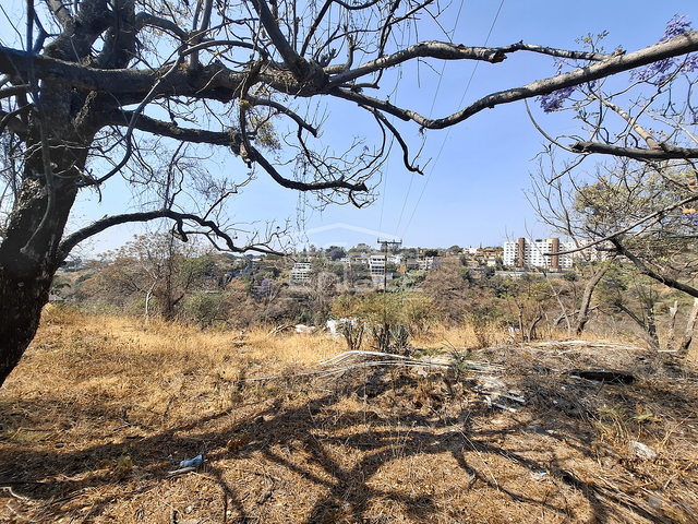 place photo 14