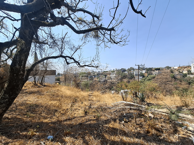 place photo 14