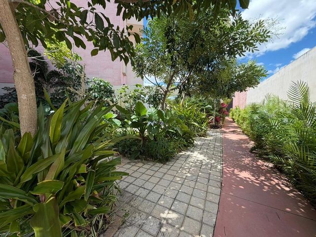 place photo 22