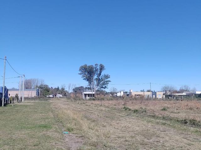 place photo 20