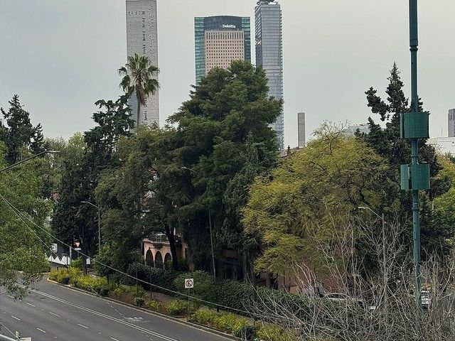 place photo 10