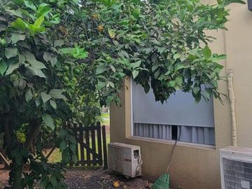 place photo 40