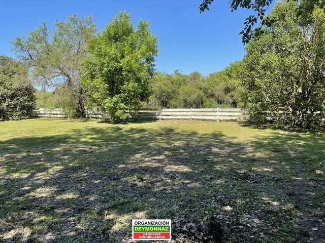 place photo 46