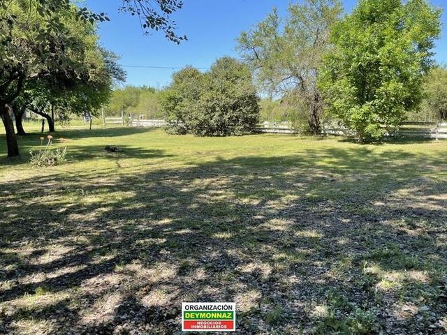 place photo 45