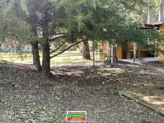 place photo 41
