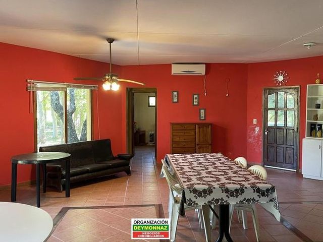 place photo 21